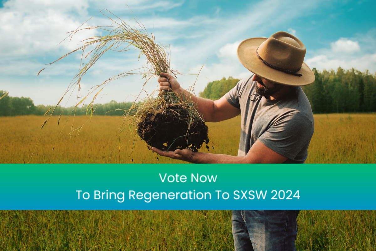 We Need Your Help To Go To SXSW 2024 The Shift Weekly Regeneration   We Need Your Help To Go To SXSW 2024 1 