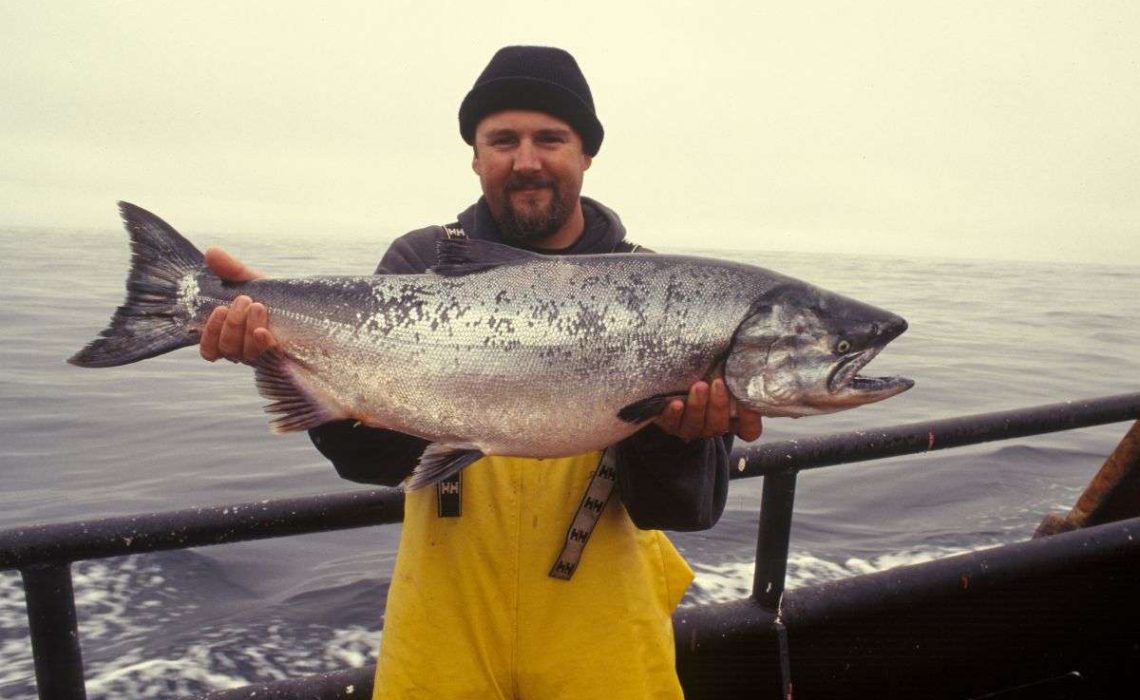 A man holds a large salmon caught during a research cruise. Photo by The USA National Oceanic and Atmospheric Administration.