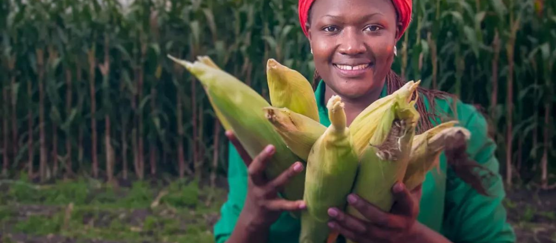 New programs are supporting Kenyan farmers in going sustainable. Image from Farm Star and Mercy Corps Ventures.