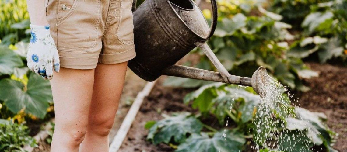 How To Naturally Fertilize Your Garden With Compost Tea