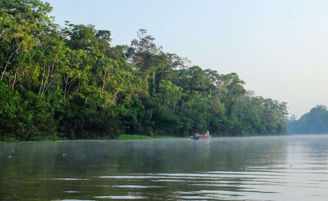 The Peruvian Amazon rainforest. Photo from Anna & Michal, used under Creative Commons license.