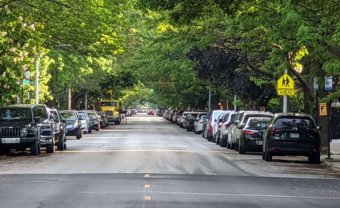 A tree-lined street. Photo by Craig Vodnik